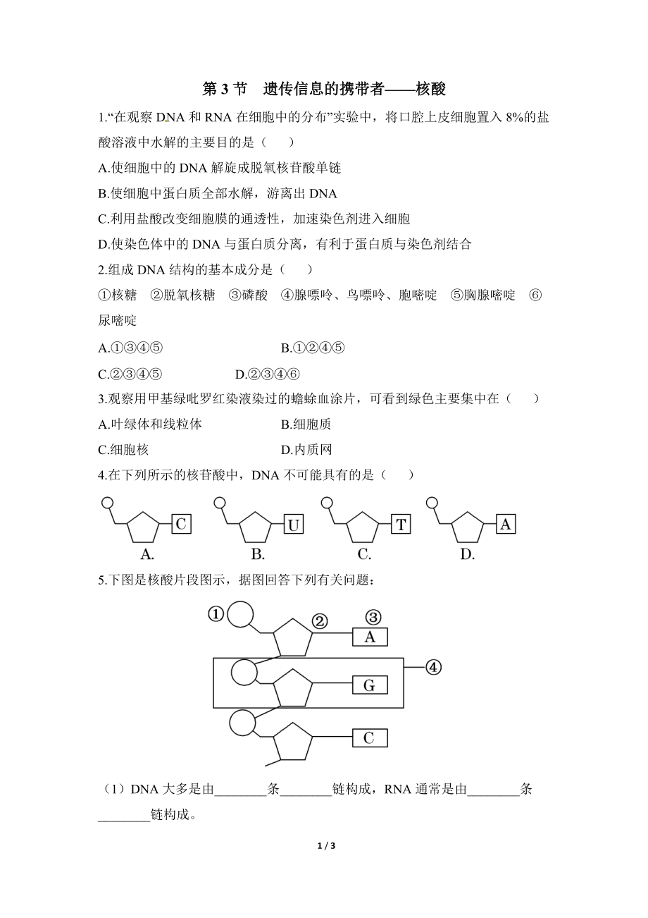 《遺傳信息的攜帶者——核酸》課堂訓(xùn)練_第1頁(yè)