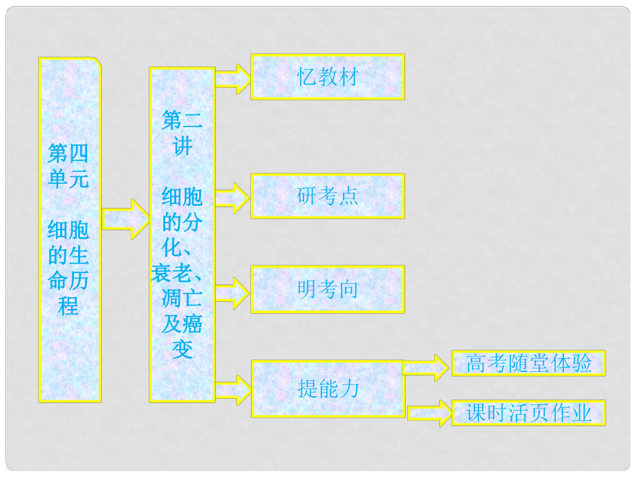 高中生物一轮复习 第四单元 第二讲细胞的分化、衰老、凋亡及癌变课件 新人教版必修1_第1页