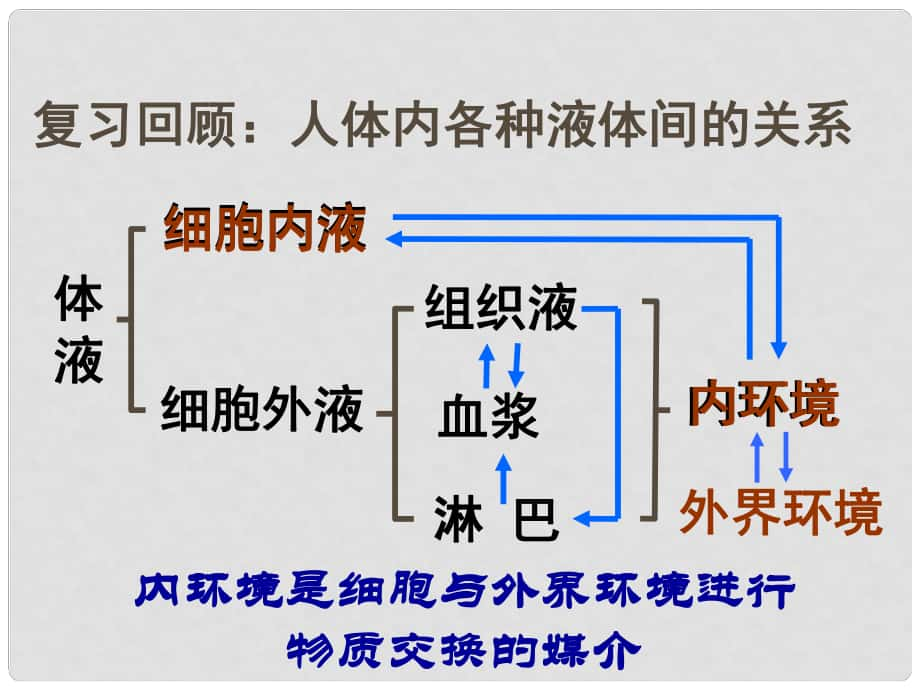 山東省高中生物備課資料 內(nèi)環(huán)境穩(wěn)態(tài)的重要性課件 新人教版必修3_第1頁(yè)