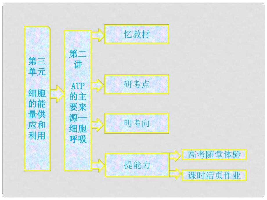 高中生物一輪復(fù)習(xí) 第三單元 第二講ATP的主要來源——細(xì)胞呼吸課件 新人教版必修1_第1頁