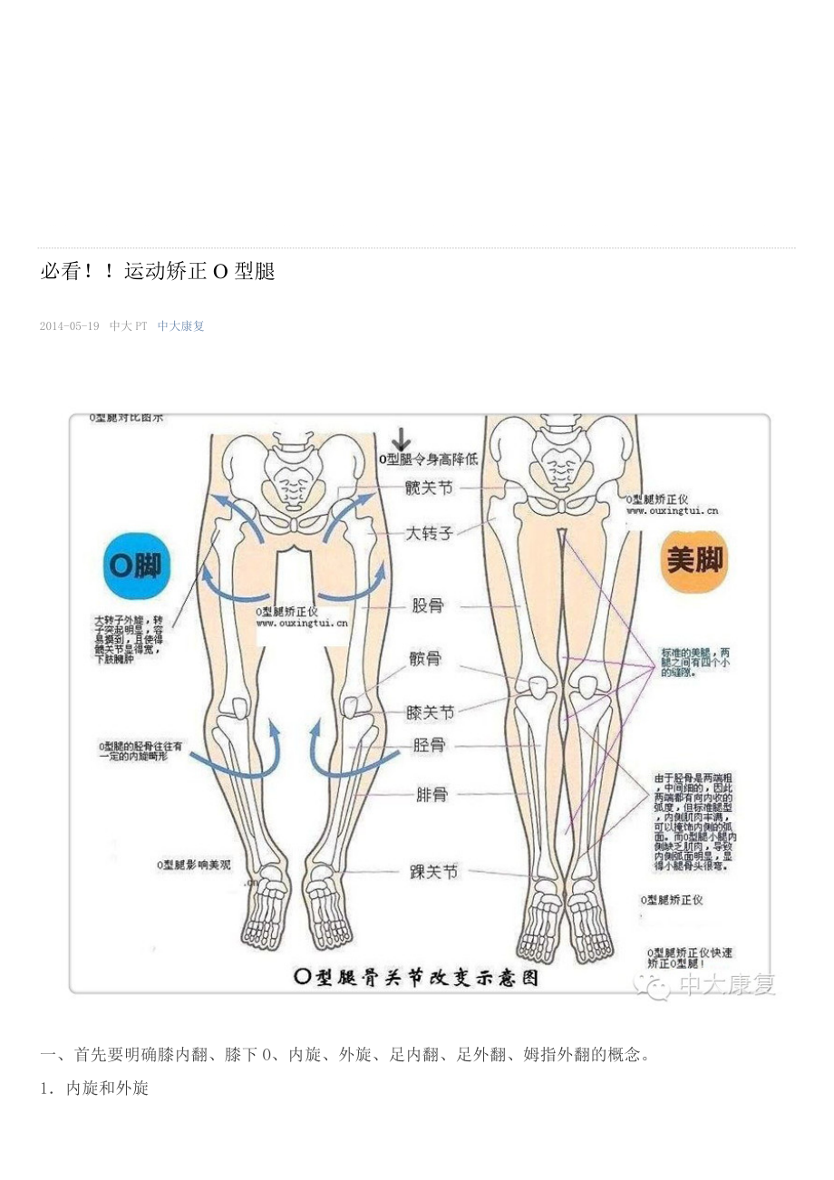 腿的部分介绍图图片