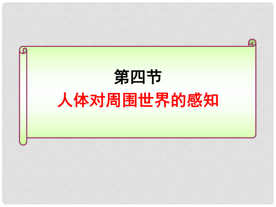 山東省棗莊四中七年級生物 人體對周圍世界的感知視覺課件_第1頁