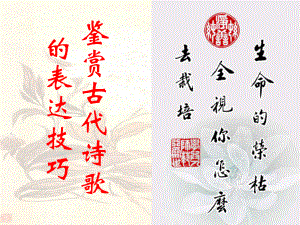 高考語(yǔ)文專題復(fù)習(xí) 詩(shī)歌鑒賞 鑒賞古代詩(shī)歌的表達(dá)技巧課件