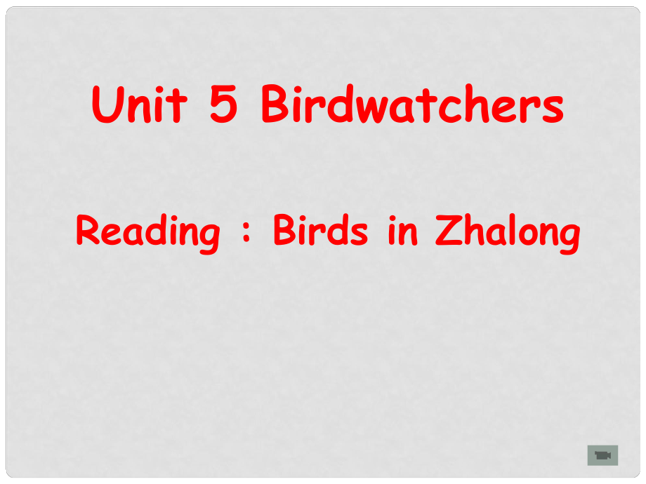 江苏省金湖县八年级英语上册 Unit5 Birdwatchers课件 牛津版_第1页
