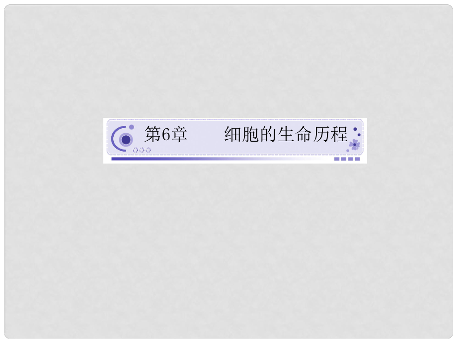 四川省成都經(jīng)濟(jì)技術(shù)開發(fā)區(qū)高考生物 第六章細(xì)胞的生命歷程課件1 必修1_第1頁(yè)
