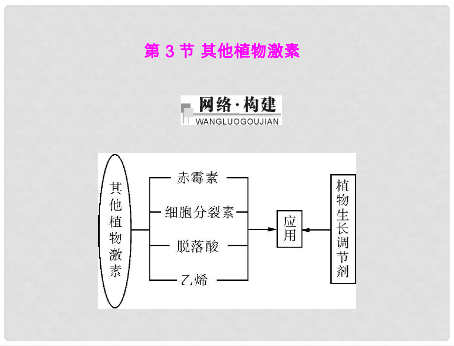 高中生物 第3章 第3節(jié) 其他植物激素課件 理 新人教版必修3_第1頁