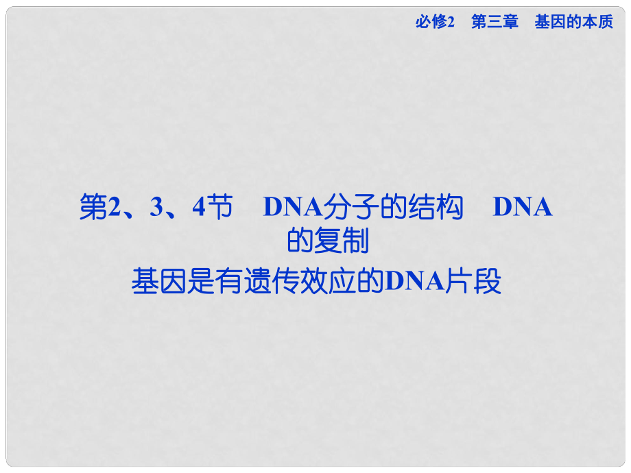 高考生物一轮复习 第三章第2、3、4节 DNA分子的结构 DNA的复制 基因是有遗传效应的DNA片段课件 新人教版必修2_第1页