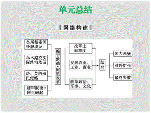 高中歷史 第六單元《穆罕默德 阿里改革》單元總結課件 新人教版選修1