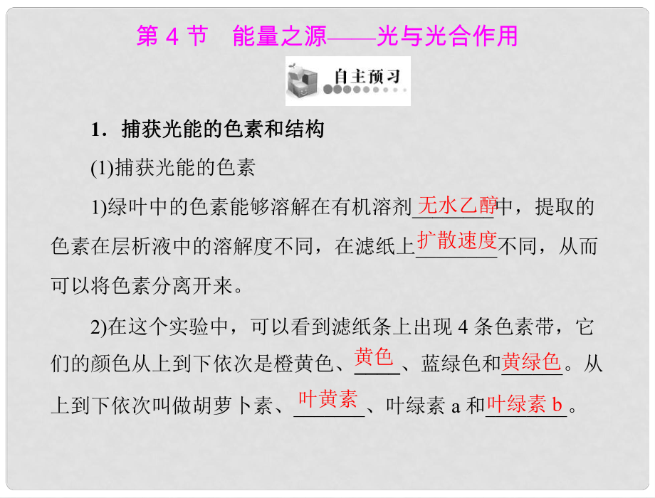 高中生物 第5章 第4節(jié) 能量之源——光與光合作用課件 新人教版必修1 新課標(biāo)_第1頁