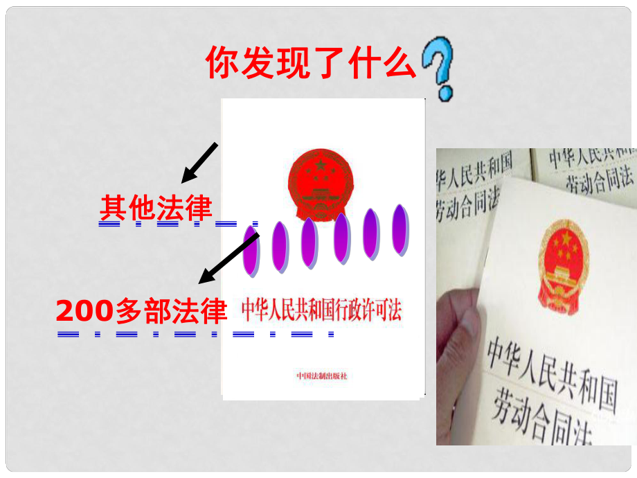 廣西桂林市寶賢中學(xué)八年級政治《人民是國家的主人》課件 人教新課標版_第1頁