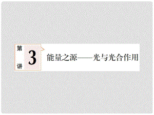 高考生物一輪復(fù)習(xí) 33 能量之源光與光和作用課件 新人教版