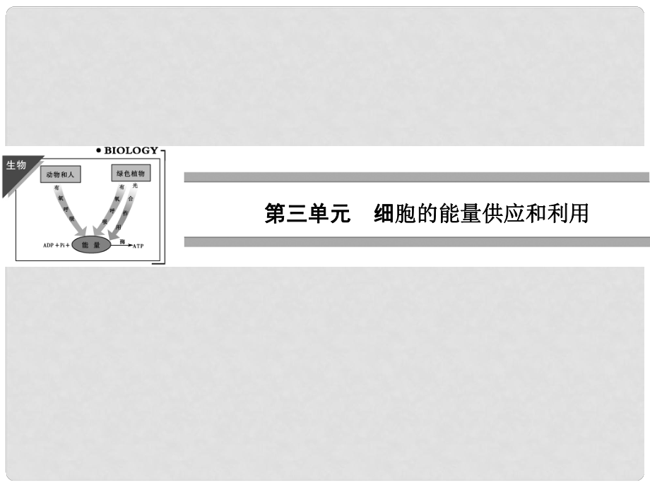 高考生物一轮复习 31 降低化学反应活化能的酶 细胞的能量“通货”——ATP课件 新人教版必修1_第1页