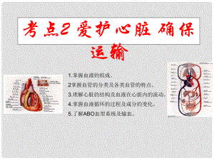 七年級(jí)生物下冊(cè) 第二章 愛護(hù)心臟 確保運(yùn)輸課件 冀教版