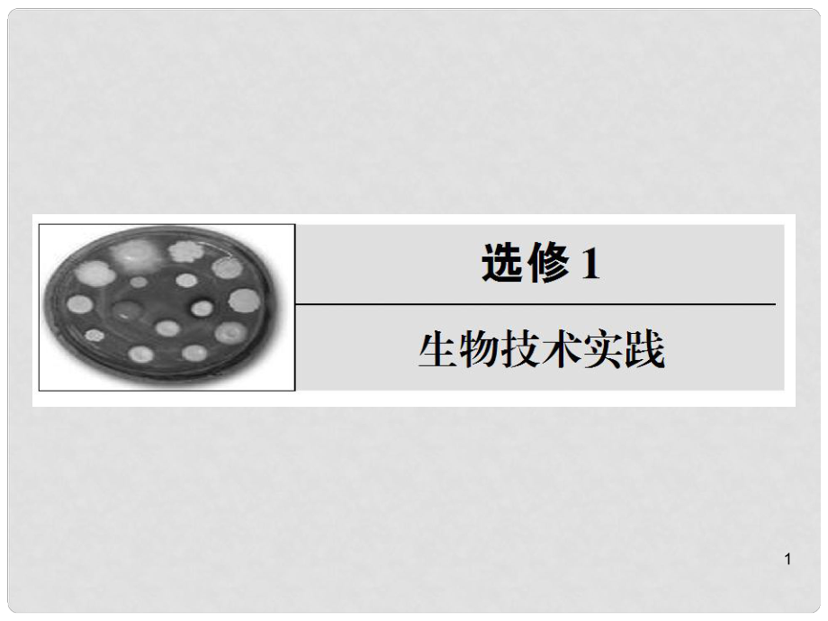 高考生物《生物技術(shù)的實踐》復(fù)習(xí)參考課件 新人教版_第1頁