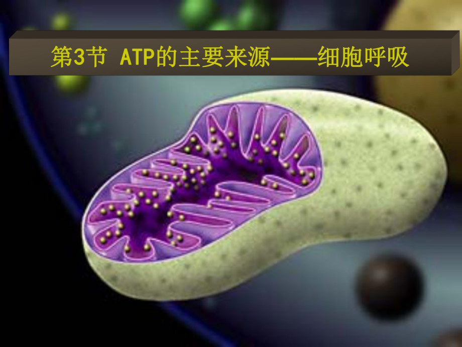 山東省冠縣高一生物《ATP的主要來源—細胞呼吸》課件_第1頁