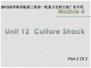 高三英語(yǔ)一輪復(fù)習(xí) M4 unit 12 Culture Shock（第2課時(shí)）課件 北師大版（廣東專用）