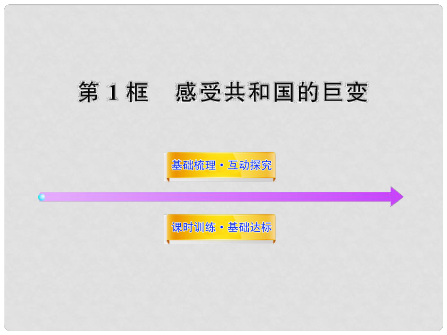 九年级政治 第三课第一框 感受共和国的巨变新课标配套课件 鲁教版_第1页