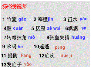 山東省濱州市鄒平實(shí)驗(yàn)中學(xué)八年級(jí)語(yǔ)文上冊(cè) 蘆花蕩課件2 新人教版