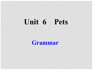 江蘇省沭陽(yáng)縣銀河學(xué)校七年級(jí)英語(yǔ)下冊(cè)《Unit 6 Pets Grammar》課件 牛津版