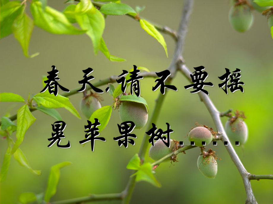 湖北省武漢為明實(shí)驗(yàn)學(xué)校七年級(jí)生物下冊(cè) 第三節(jié) 青期課件 新人教版_第1頁(yè)