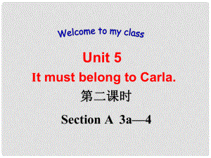 湖北省孝感市九年級(jí)英語下冊 Unit 5 It must belong to Carla Section A 3a4課件 人教新目標(biāo)版