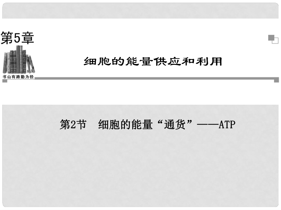 高中生物 第5章 第2節(jié) 細胞的能量“通貨” ATP同步輔導(dǎo)與檢測課件 新人教版必修1_第1頁