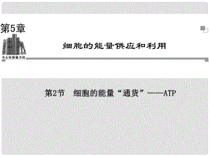 高中生物 第5章 第2節(jié) 細(xì)胞的能量“通貨” ATP同步輔導(dǎo)與檢測(cè)課件 新人教版必修1