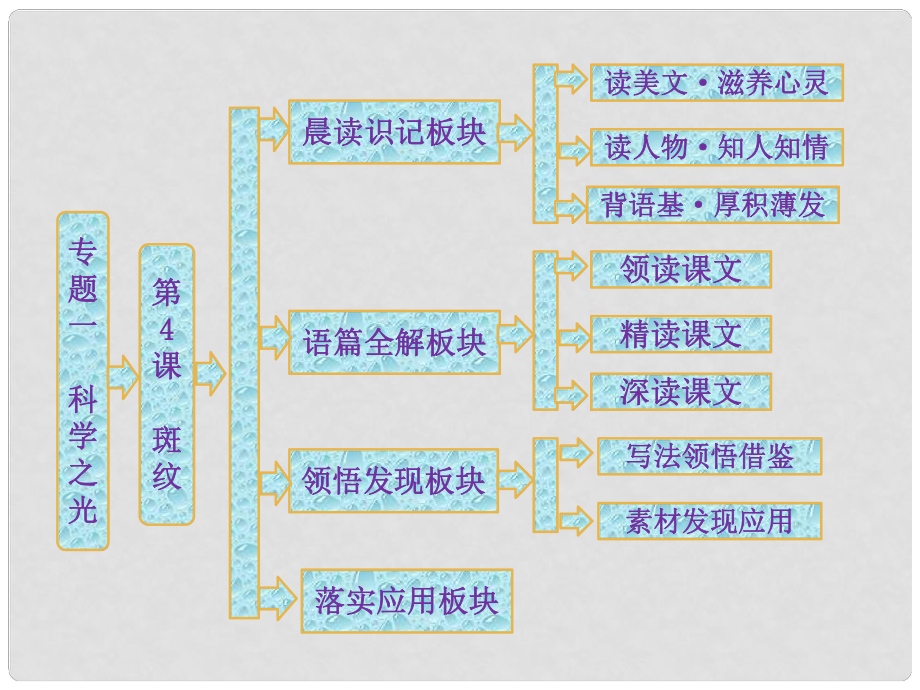 高中語文 第一專題 第4課 斑紋課件 蘇教版必修5_第1頁