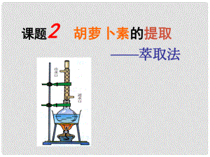 高中生物《第六章 第二節(jié) 胡蘿卜素的提取》課件 新人教版選修1