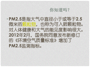 山東省東營市河口區(qū)實驗學(xué)校八年級政治下冊《第13課 依法保護(hù)人類共有的家園》課件 魯教版