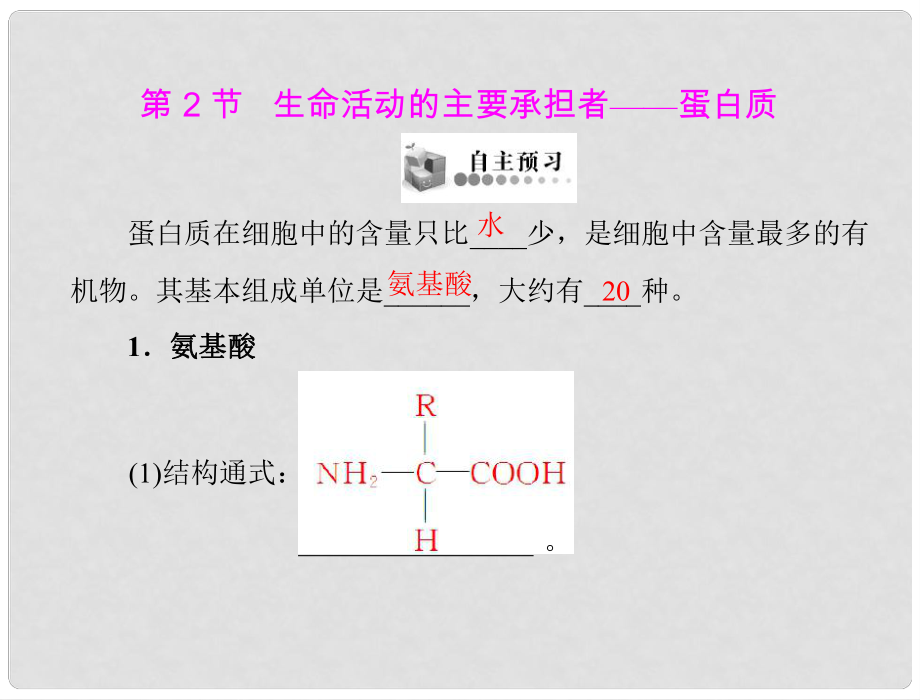 黑龍江齊齊哈爾第一中學(xué)高中生物 第2章 第2節(jié) 生命活動的主要承擔(dān)者—蛋白質(zhì)課件 新人教版必修1_第1頁