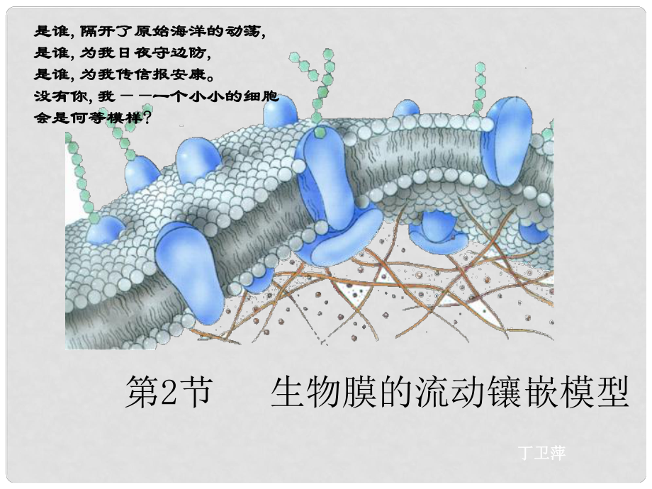 高中生物《第四章 第2節(jié) 生物膜的流動鑲嵌模型》課件 新人教版必修1_第1頁