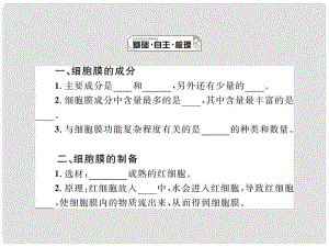 高中生物總復習 第三章第1講 細胞膜—系統(tǒng)的邊界課件 新人教版必修1