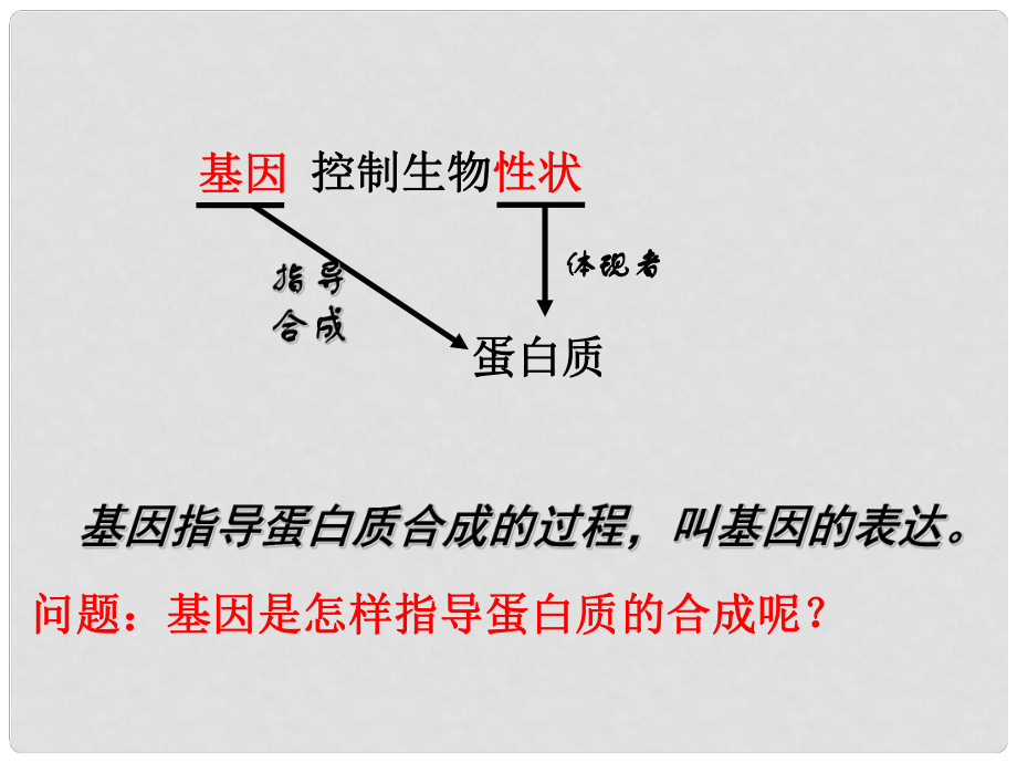 高中生物《第四章 第一節(jié) 基因指導(dǎo)蛋白質(zhì)的合成》課件3 新人教版必修2_第1頁