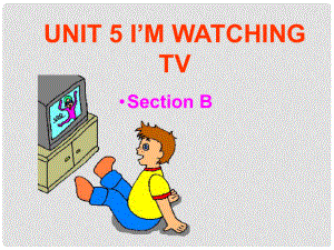 福建省泉州晉江市潘徑中學(xué)七年級(jí)英語(yǔ)下冊(cè)《I’m watching TV》課件 人教新目標(biāo)版