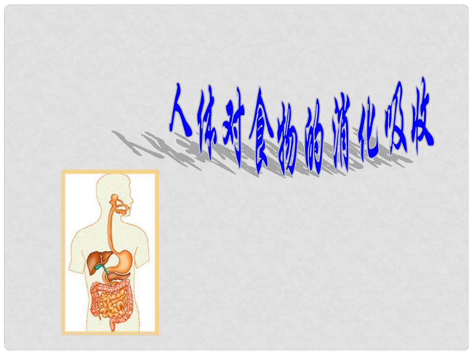 甘肅省會(huì)寧縣七年級(jí)生物下冊(cè)《人體對(duì)食物的消化吸收》課件_第1頁(yè)