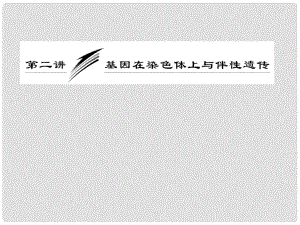 高考生物一輪復習 第二單元 第二講 基因在染色體上與伴性遺傳課件 必修2