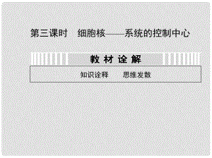 高考生物第一輪復習用書 第二單元 第三課時細胞核 系統(tǒng)的控制中心課件 新人教版