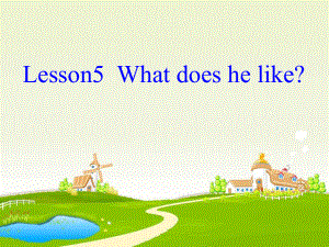 科普版英語(yǔ)五上Lesson 5What does he like課件2