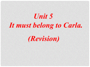 浙江省泰順縣羅陽(yáng)二中九年級(jí)英語(yǔ)《Unit 5 It must belong to carla》課件2 人教新目標(biāo)版