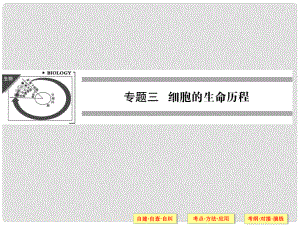 高三生物二輪沖刺專(zhuān)題查補(bǔ) 專(zhuān)題3第1講 細(xì)胞的增殖和受精作用課件