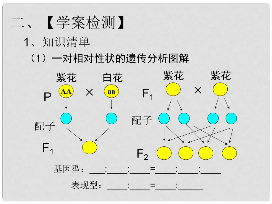 陝西省澄城王莊中學高一生物 基因分離定律的應用課件 人教版_第3頁