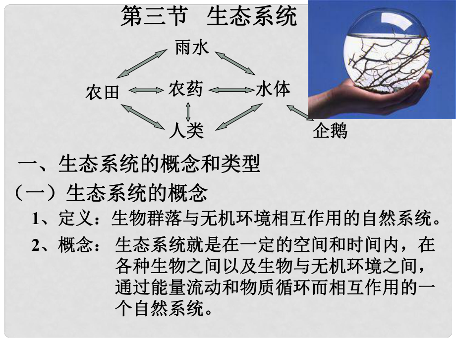 湖南省師大附中高中生物 生態(tài)系統(tǒng)課件 新人教版必修3_第1頁