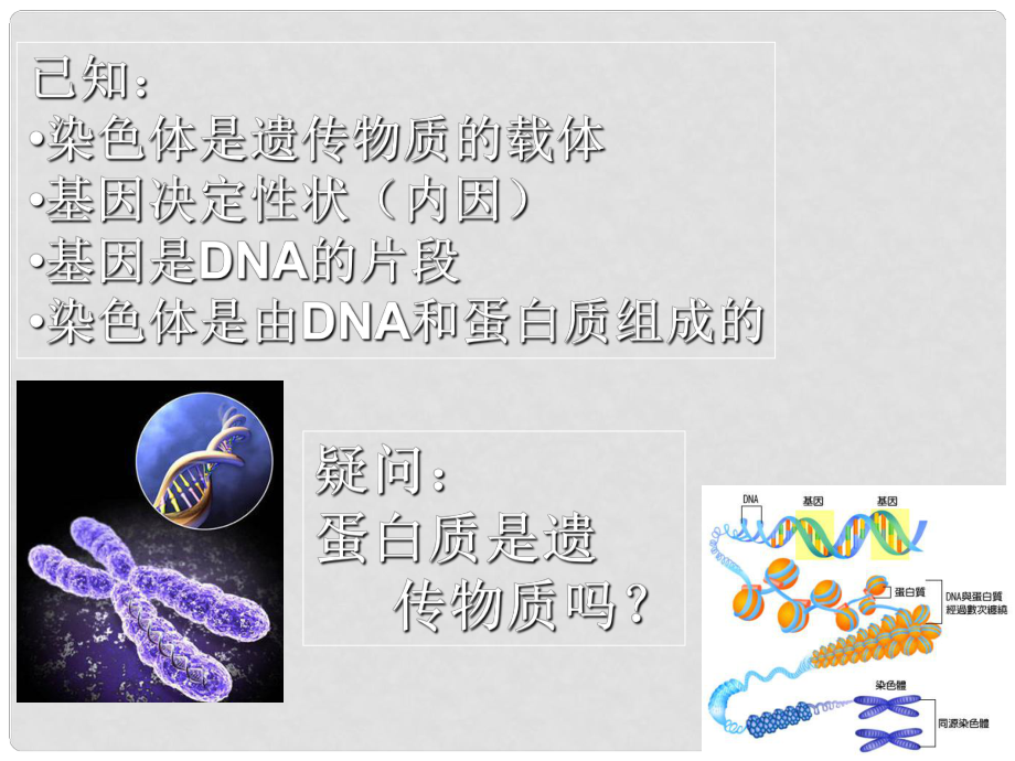 浙江省溫州市第十一中學高二生物《核酸是遺傳物質(zhì)的證據(jù)》課件 新人教版_第1頁