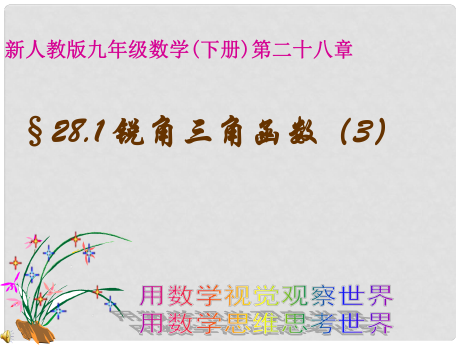 廣東省羅定市黎少中學(xué)九年級(jí)數(shù)學(xué)下冊(cè) 28.1 銳角三角函數(shù)（3）課件 新人教版_第1頁(yè)