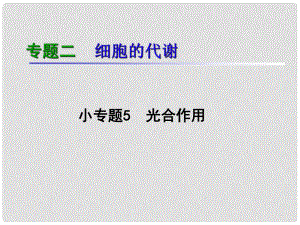 湖南生物復習二輪課件 專題2.5光合作用