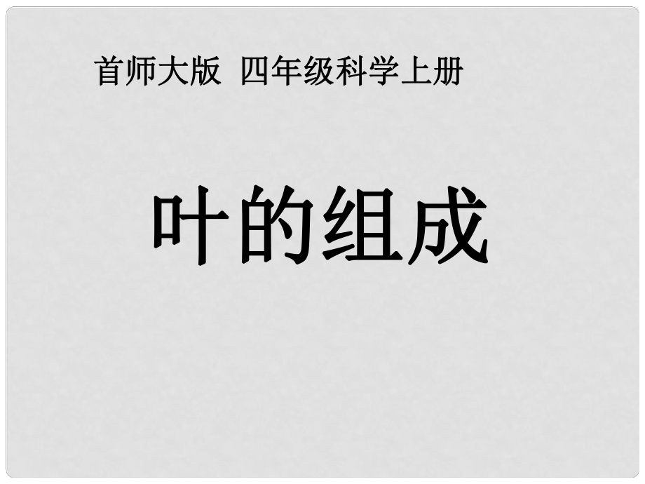 四年级科学上册 叶的组成 2课件 首师大版_第1页