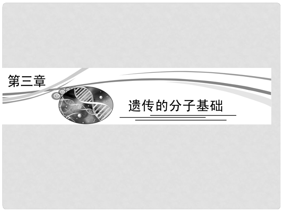 高考生物二轮复习 231 探索遗传物质的过程课件 苏教版必修2_第1页