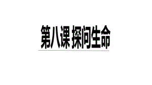 敬畏生命課件 (新)