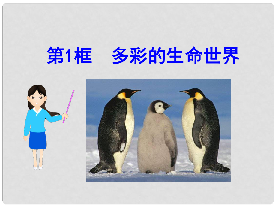 河北省石家莊市31中七年級(jí)政治上冊(cè)《多彩的生命世界》課件 魯教版_第1頁(yè)